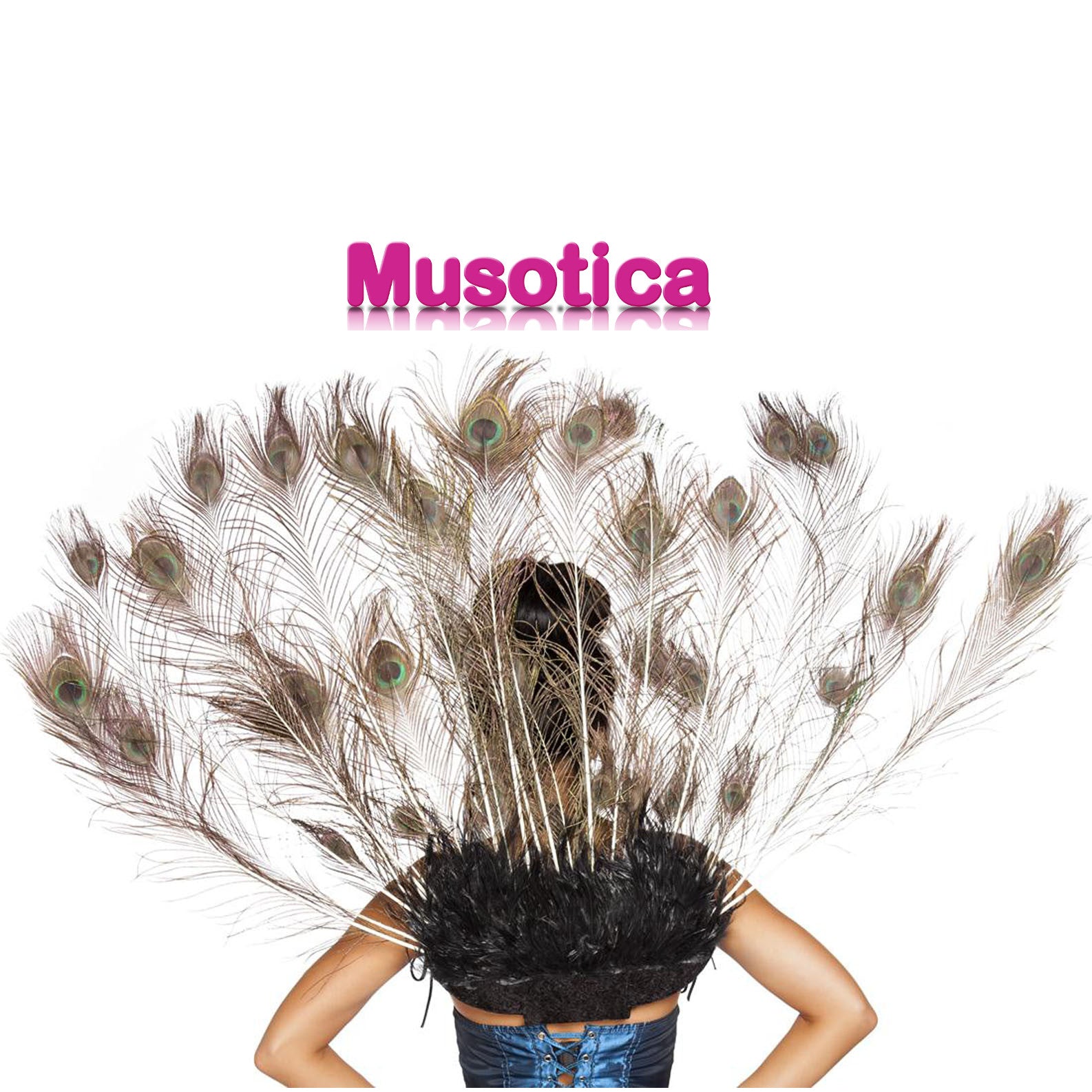 A woman wearing a dress adorned with peacock feathers, holding a fan made of peacock feathers, with pink letters on a white background.