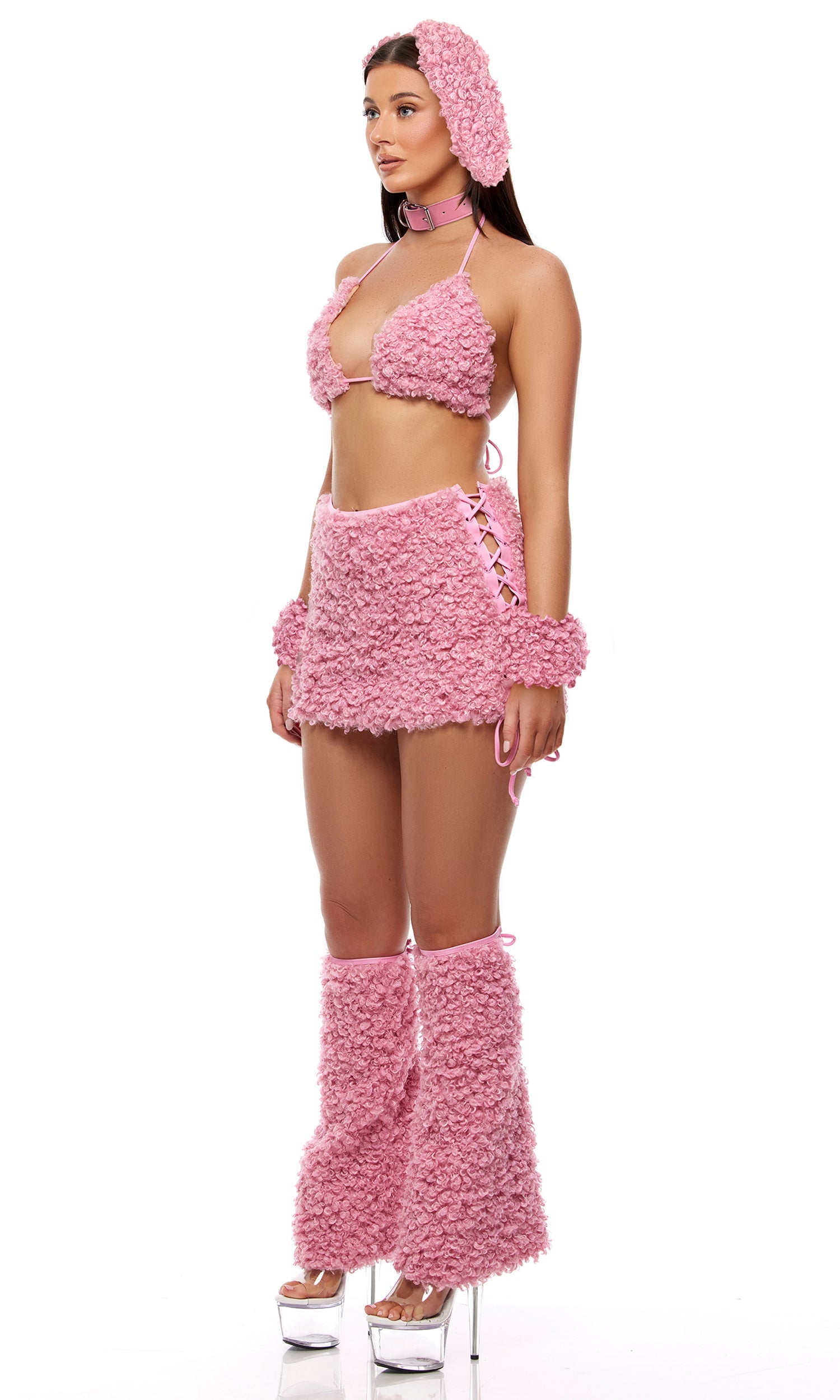 Hold My Poodle 6-Piece Poodle Costume Set
