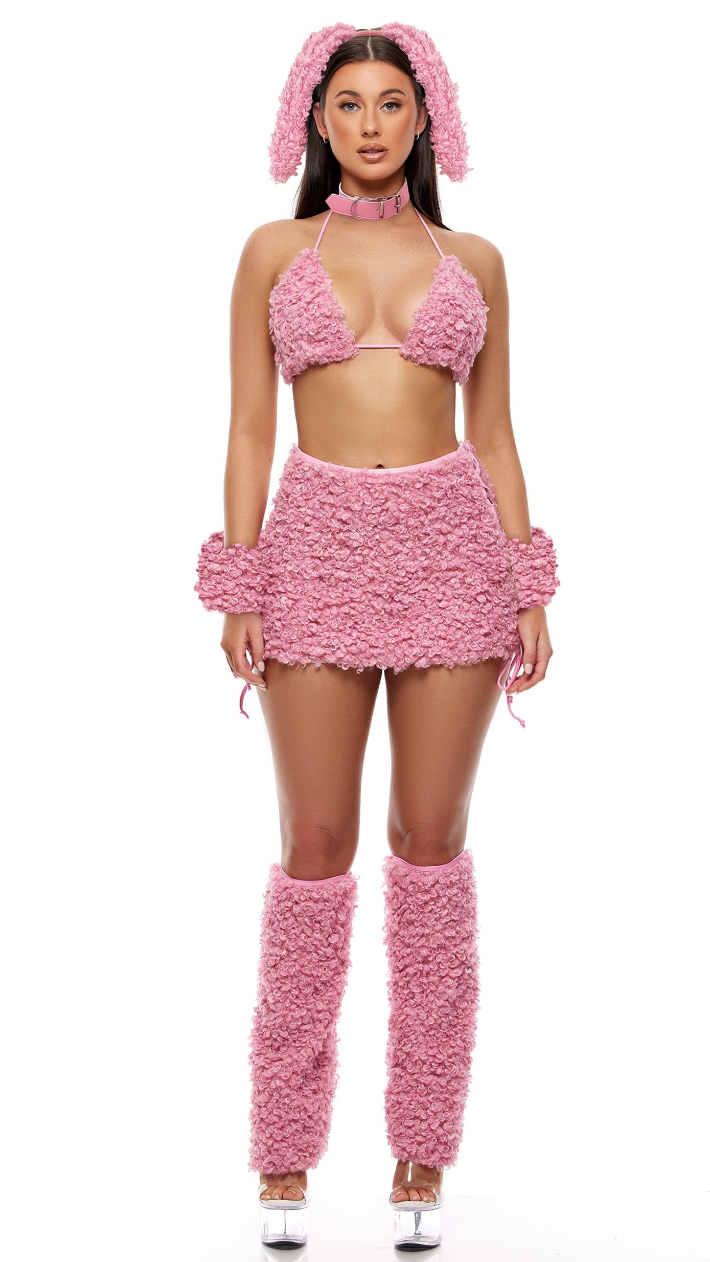 Hold My Poodle 6-Piece Poodle Costume Set